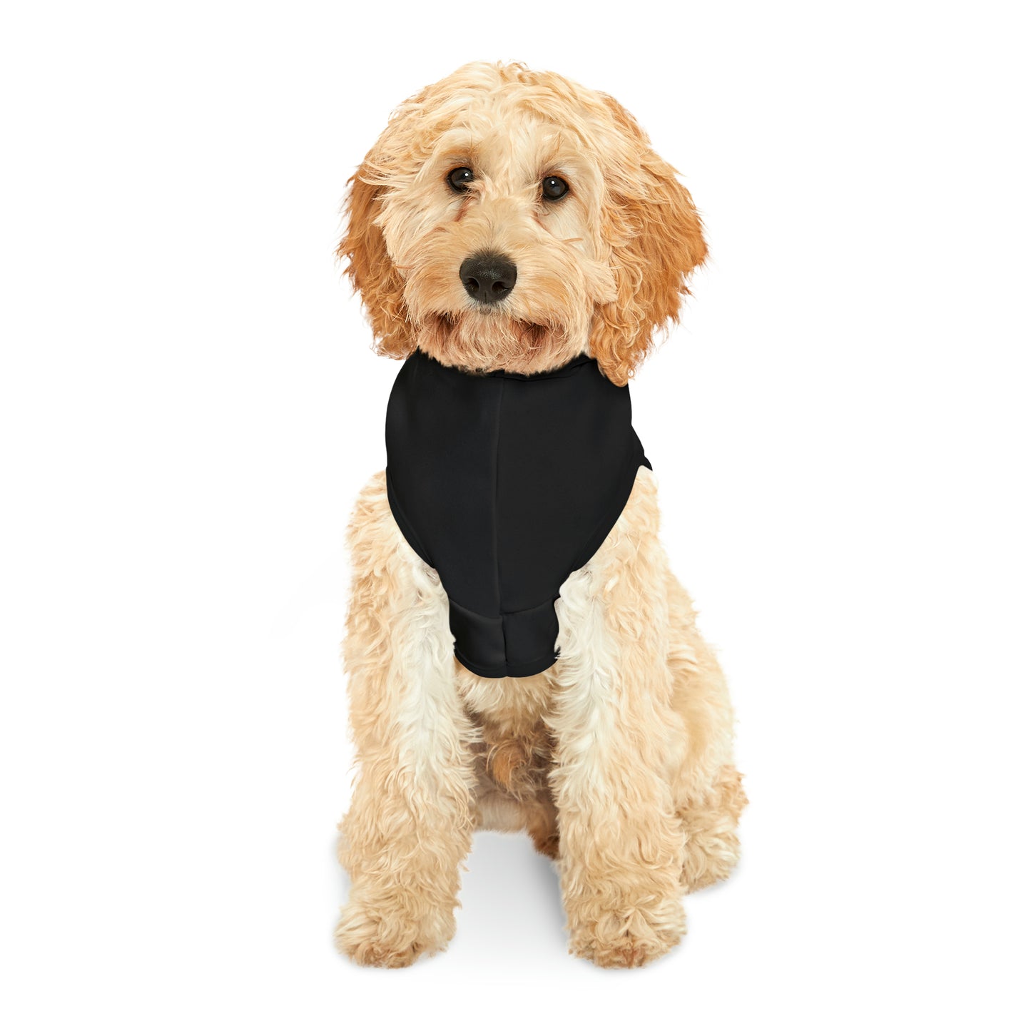 4Runner Gear - Pet Hoodie