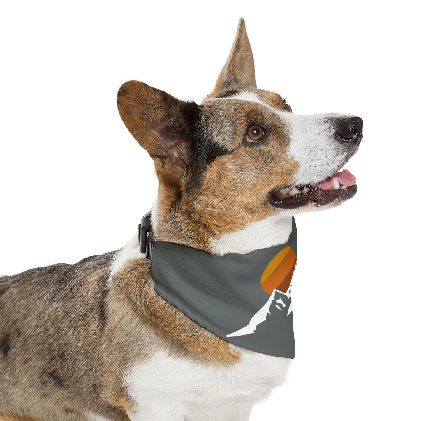 4Runner Gear - Pet Bandana Collar