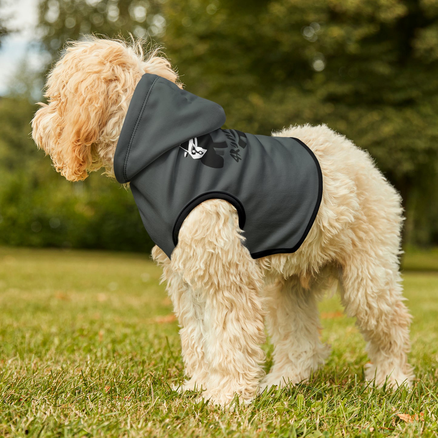 4Runner Gear - Pet Hoodie