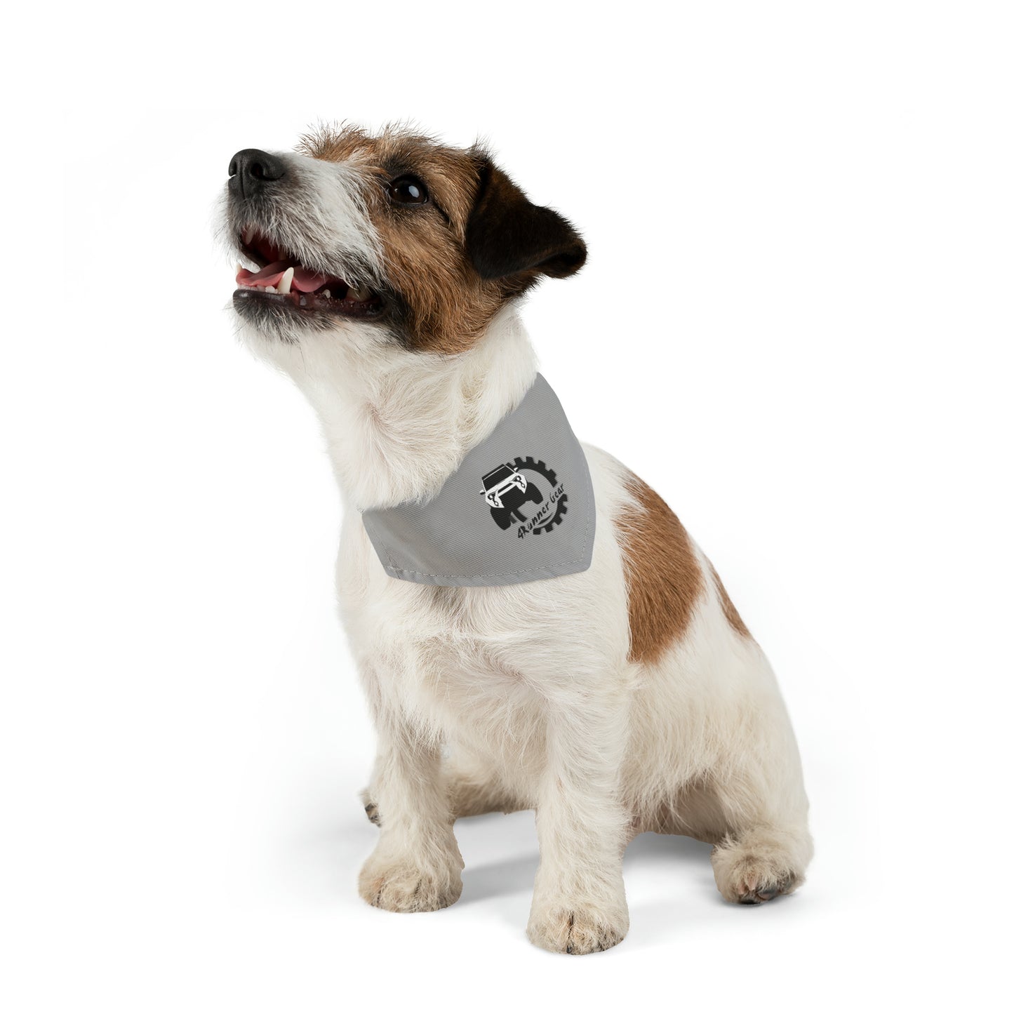 4Runner Gear - Pet Bandana Collar