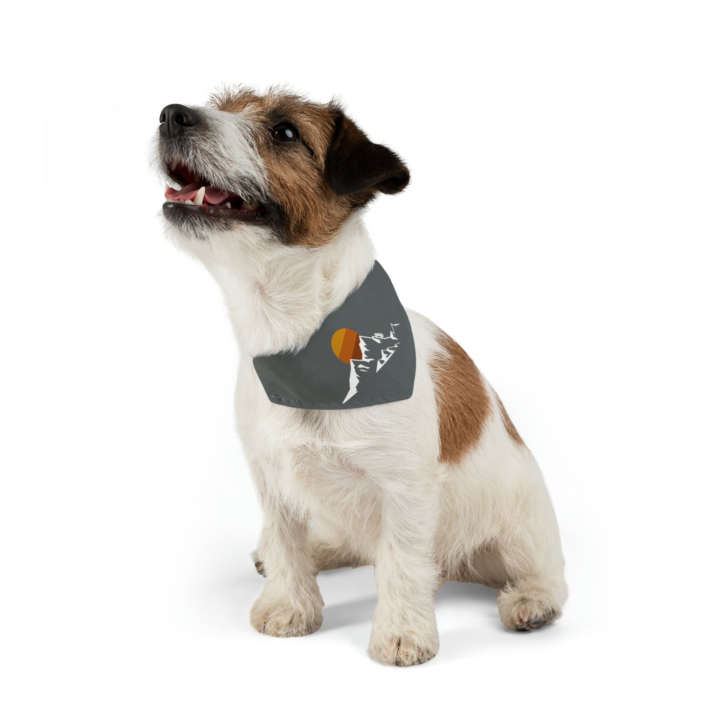 4Runner Gear - Pet Bandana Collar