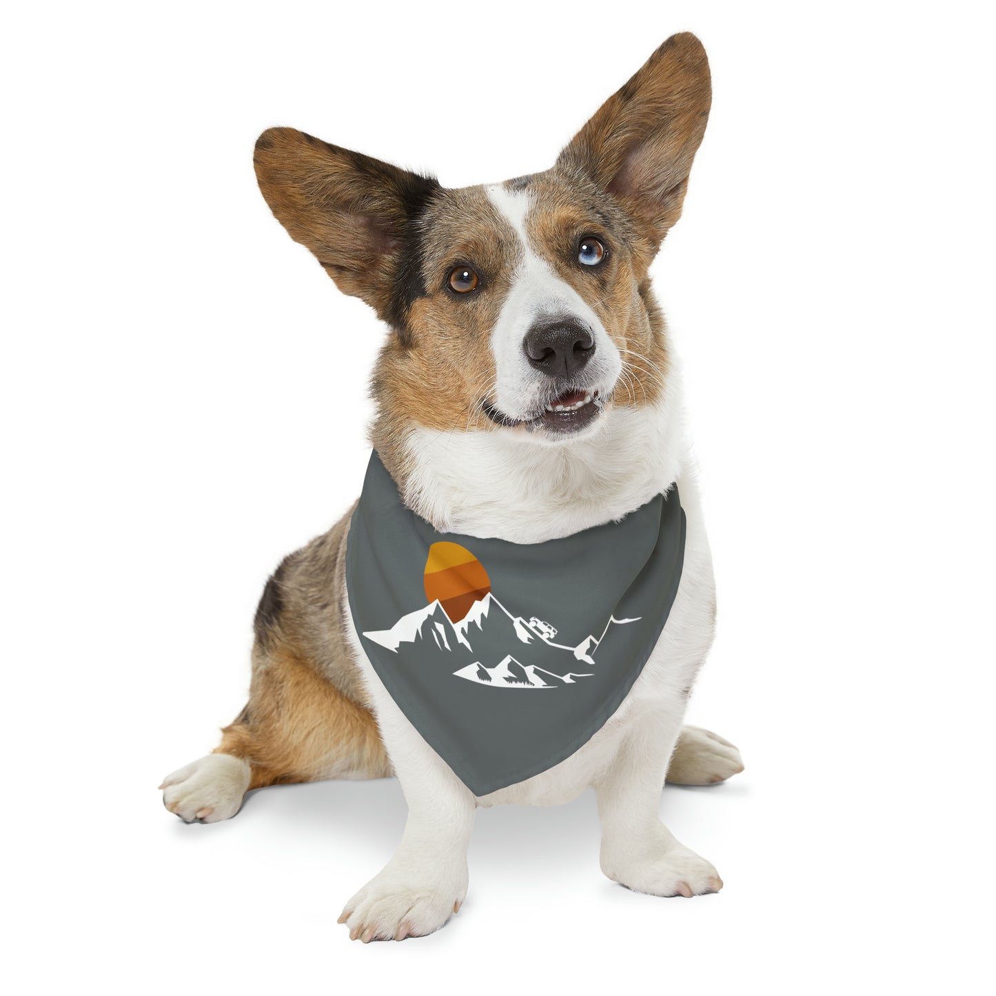 4Runner Gear - Pet Bandana Collar