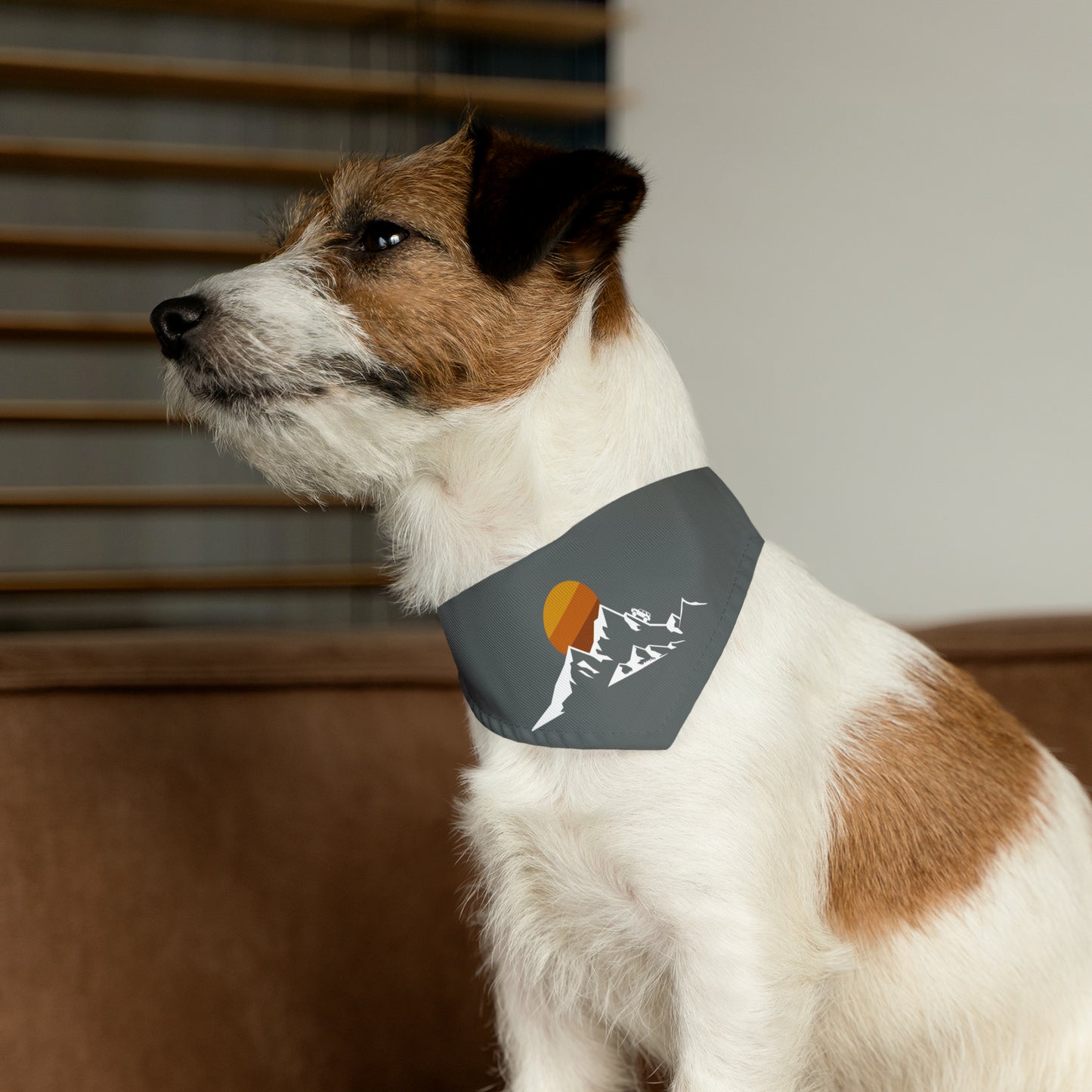 4Runner Gear - Pet Bandana Collar