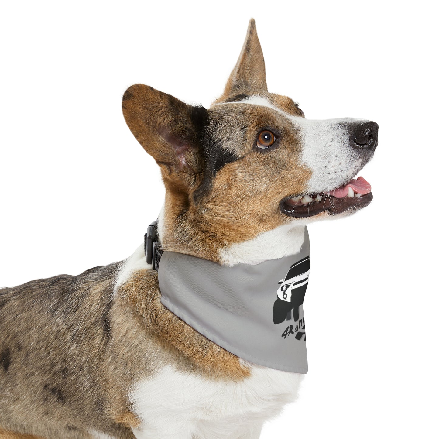 4Runner Gear - Pet Bandana Collar