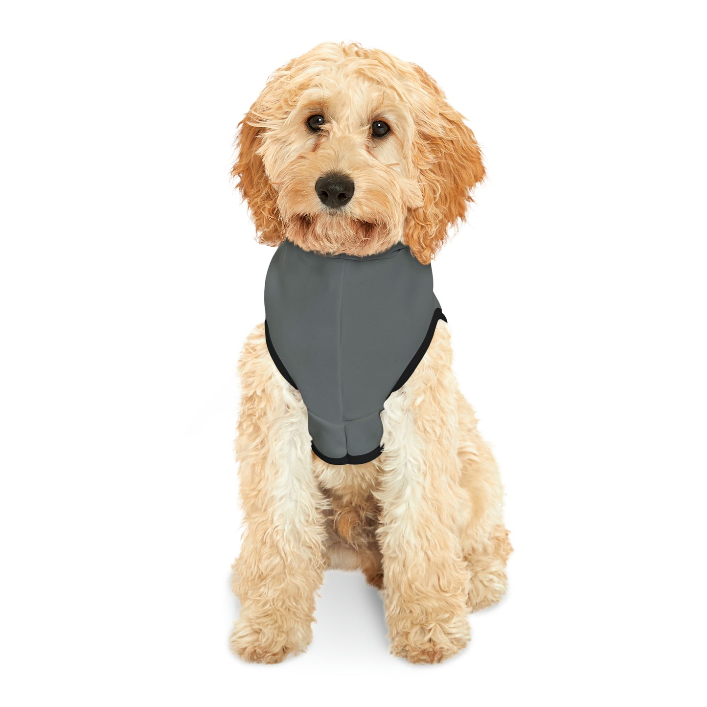 4Runner Gear - Pet Hoodie